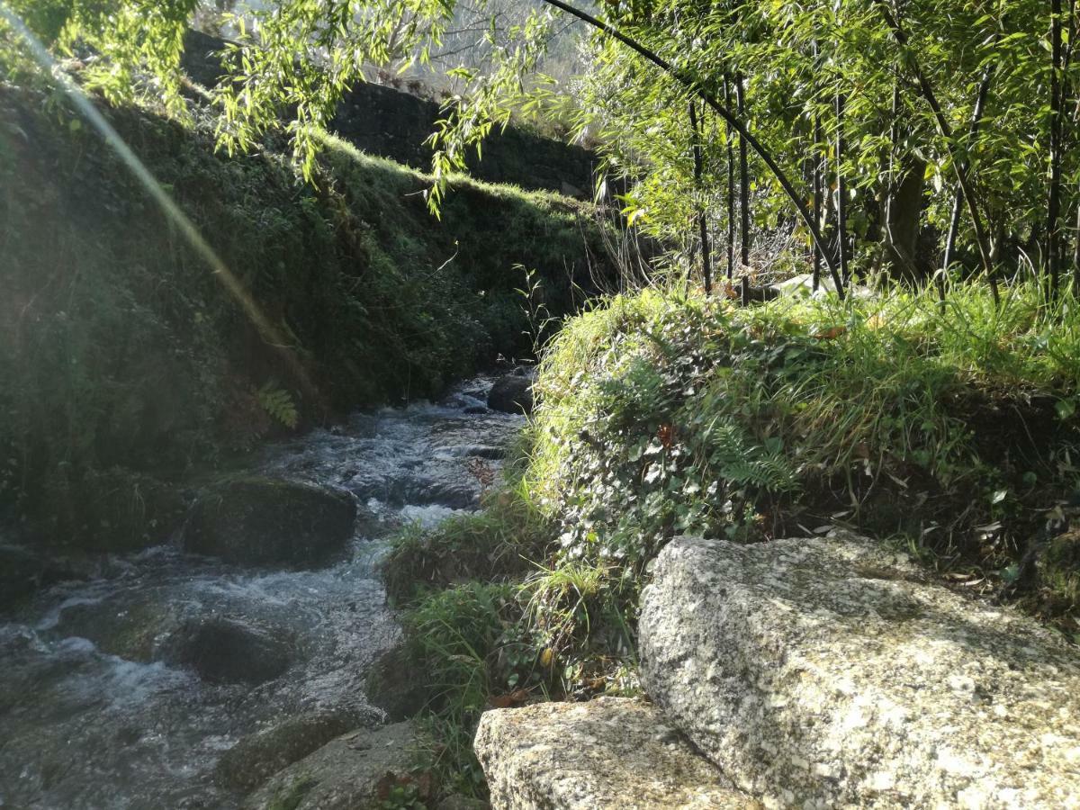 Cottage, Casa Do Laranjal - Near جيريز المظهر الخارجي الصورة